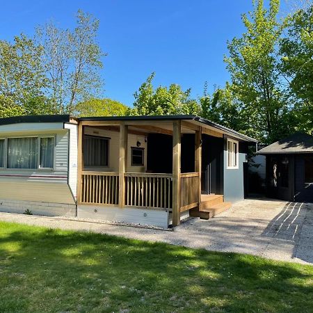 Chalet 'T Rijsterbos Op Camping Met Zwembad! Villa Exteriör bild