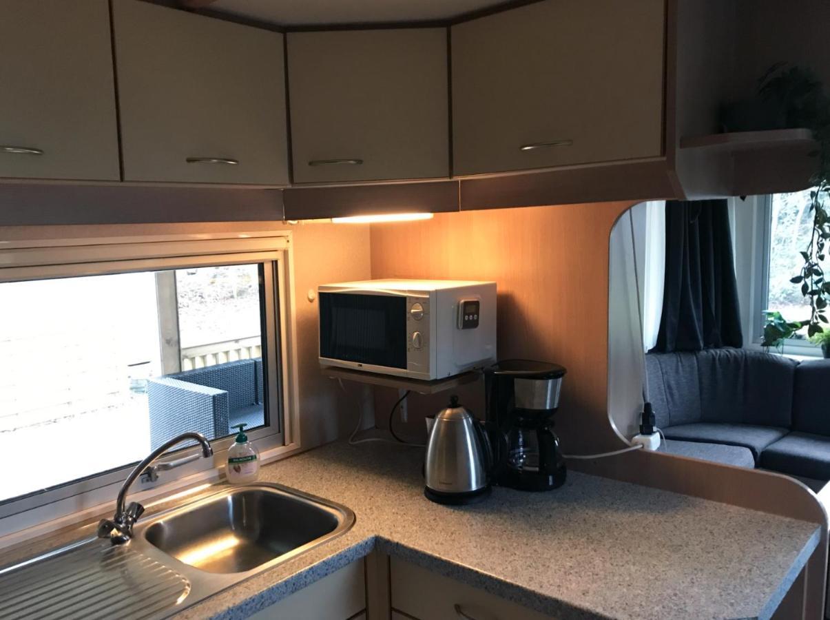 Chalet 'T Rijsterbos Op Camping Met Zwembad! Villa Exteriör bild